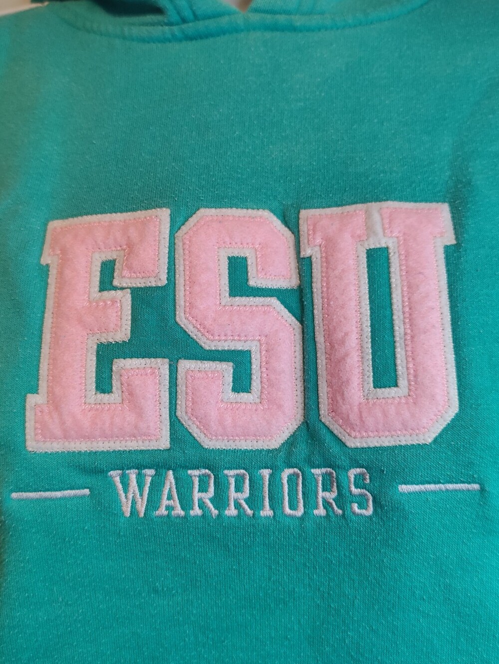 Vintage Y2K GFS Coed ESU Warriors Hoodie Green Pink Sz M - Picture 2 of 6